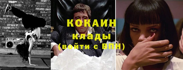 сатива Абинск