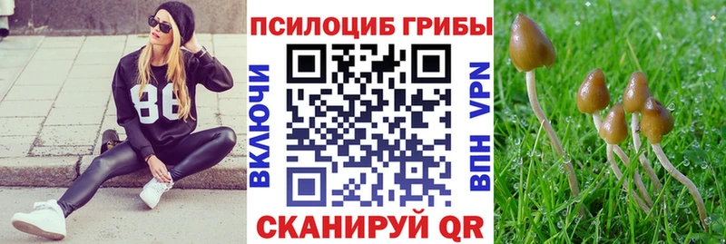 omg   Горбатов  Псилоцибиновые грибы Magic Shrooms  купить наркотик 